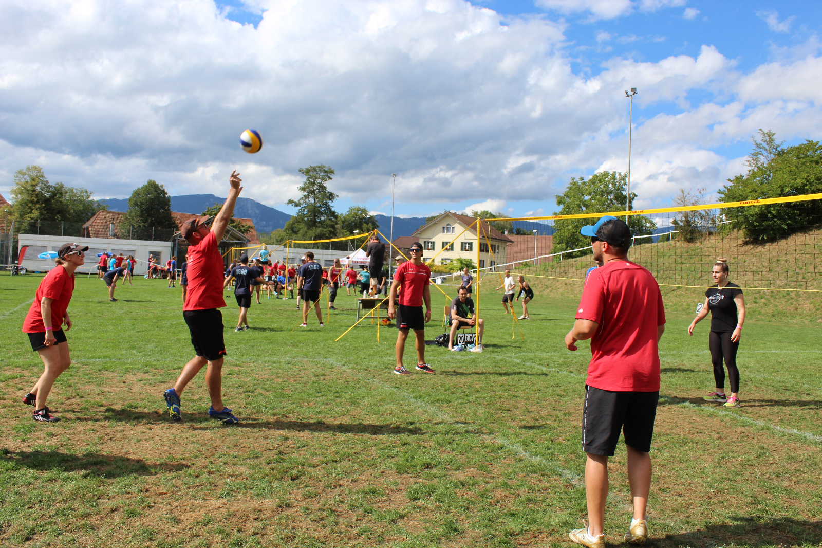 Volley  (97)